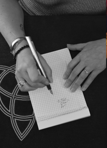 Séance de guidance professionnelle en visio ou en présentiel